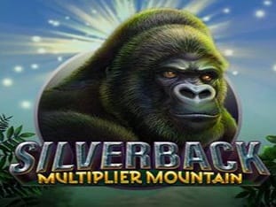 Silverback Multiplier Mountain game icon